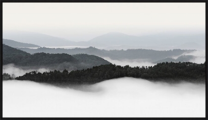 Picture of ROLLING FOG, SMOKY MTS. #2 