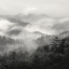 Picture of SPRING MIST, SMOKY MOUNTAINS 