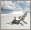 Picture of SOLITARY BEACH CHAIR 