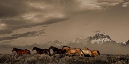 Picture of MORNING IN THE TETONS