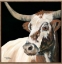 Picture of LONGHORN LOVE 