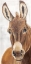 Picture of IT BEHOOVES ME 