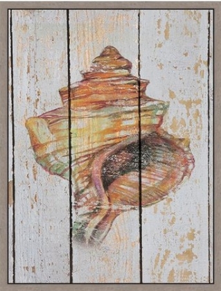 Picture of SEASHELL IV