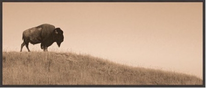 Picture of BUFFALO GUARDIAN 