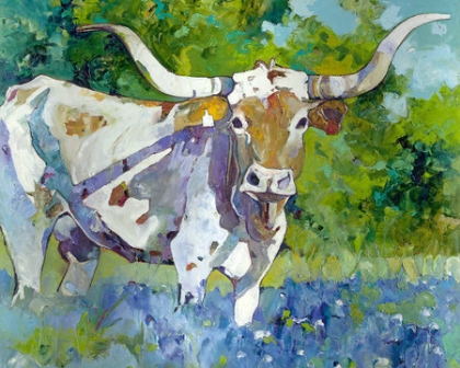 Picture of GEORGE'S LONGHORN 