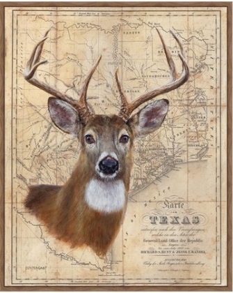 Picture of BUCK MAP