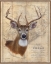 Picture of BUCK MAP