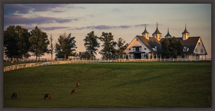 Picture of HOME 