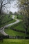 Picture of SPRING TIME 