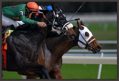 Picture of PHOTO FINISH 