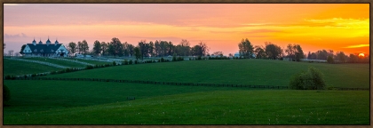 Picture of BLUEGRASS COUNTRY 