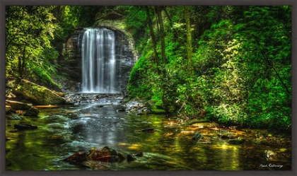 Picture of LOOKING GLASS FALLS 