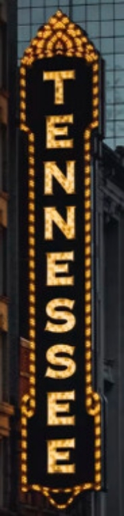 Picture of TENNESSEE MARQUEE 