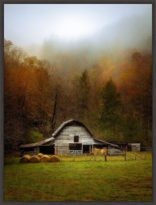 Picture of AUTUMN GLOW 