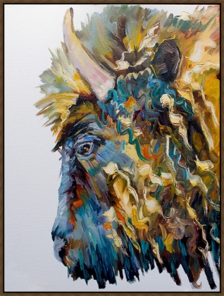 Picture of BUFFALO ON WHITE 