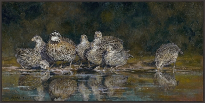 Picture of BIRD FAMILY 