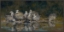 Picture of BIRD FAMILY 