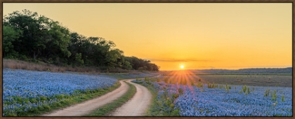 Picture of BLUEBONNET PATH 