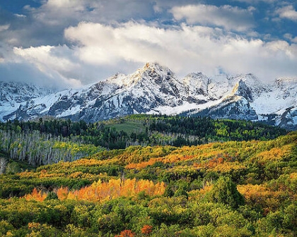 Picture of EARLY FALL MORNING