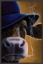 Picture of COWS DON'T WEAR HATS 