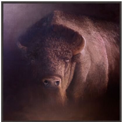 Picture of BROKEN HORN 