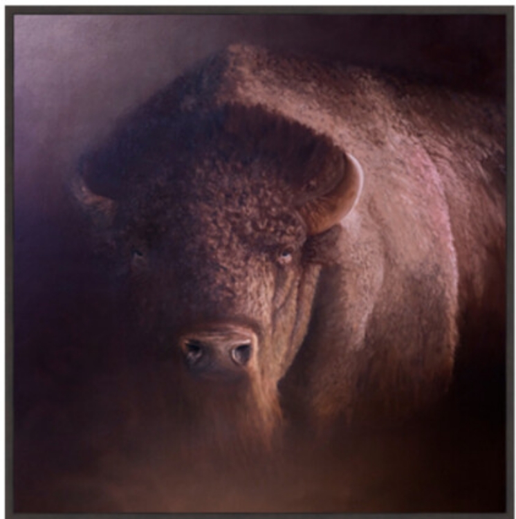 Picture of BROKEN HORN 