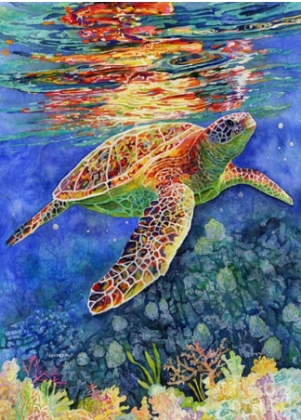 Picture of TURTLE REFLECTIONS 