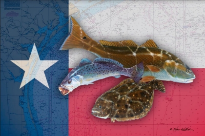 Picture of TEXAS INSHORE SLAM 