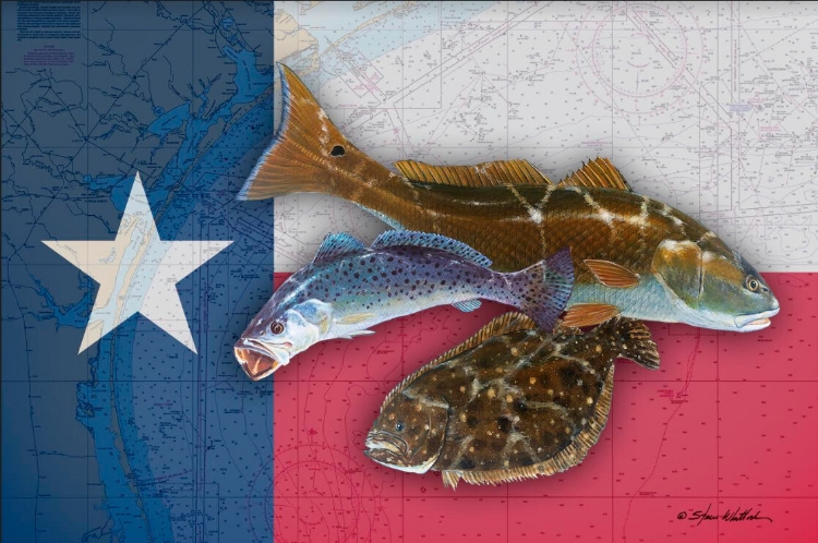 Picture of TEXAS INSHORE SLAM 