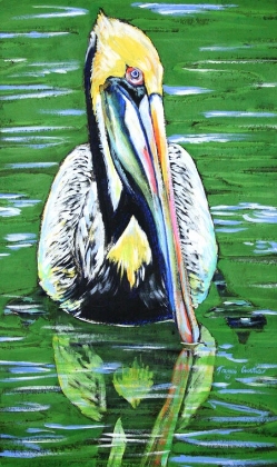 Picture of PELICAN 