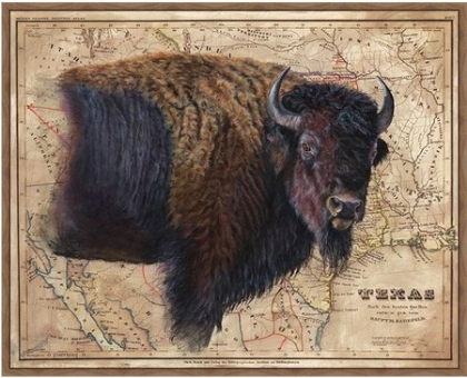 Picture of BISON MAP 
