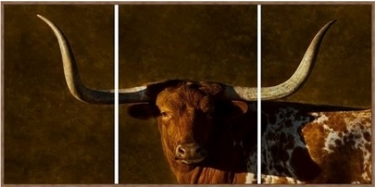 Picture of TEXAS HERITAGE 