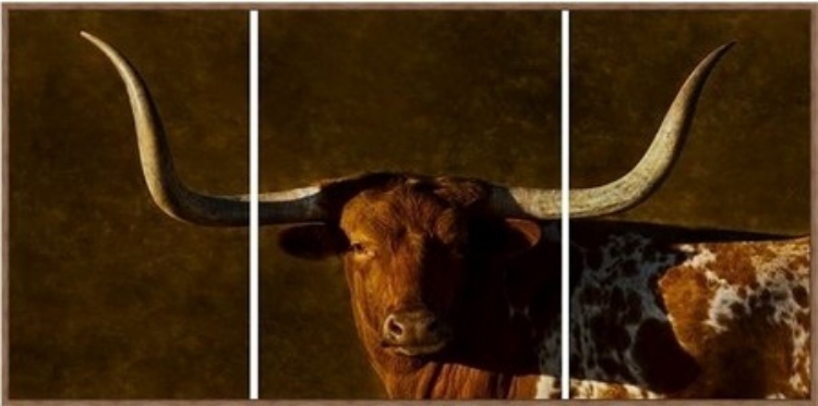 Picture of TEXAS HERITAGE 