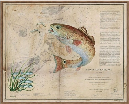 Picture of TEXAS RED FISH MAP 