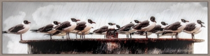 Picture of KNIGHTS OF THE RUSTED TABLE 