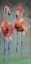 Picture of TWO FLAMINGO 