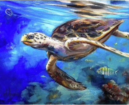 Picture of HAWKSBILL 