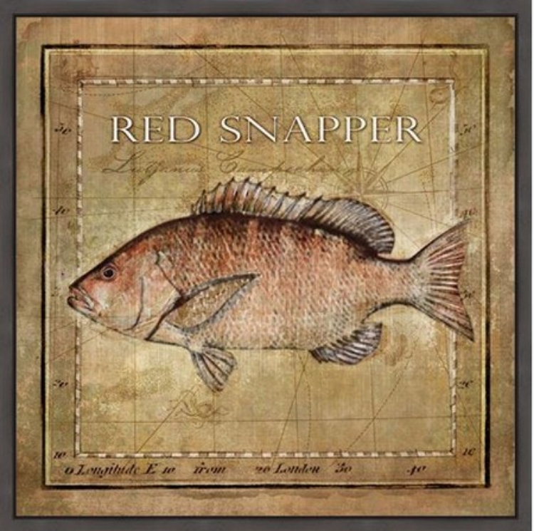 Picture of RED SNAPPER - OCEAN FISH VII