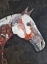 Picture of WILD APPALOOSA I
