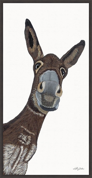 Picture of HEY THERE DONKEY 