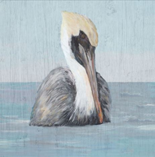 Picture for category BIRDS