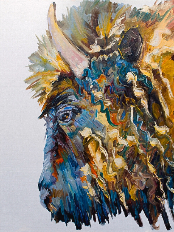 Picture of BUFFALO ON WHITE 