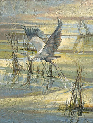 Picture of HERON 
