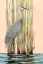 Picture of SANDHILL CRANE 