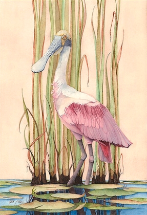 Picture of ROSEATE SPOONBILL 