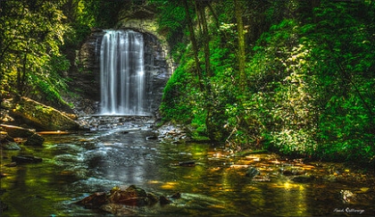 Picture of LOOKING GLASS FALLS 