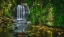 Picture of LOOKING GLASS FALLS 