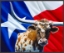 Picture of RED,WHITE AND MOO 