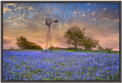 Picture of ELLIS COUNTY BLUEBONNET WINDMILL