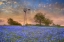 Picture of ELLIS COUNTY BLUEBONNET WINDMILL - WRAPPED CANVAS